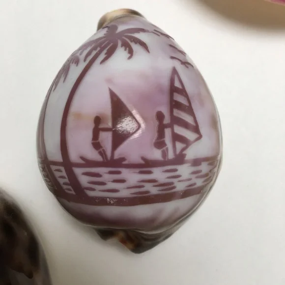 Set of 3 Sea Shells for Home/Office Decorations | Bohemian - Picture 2 of 5